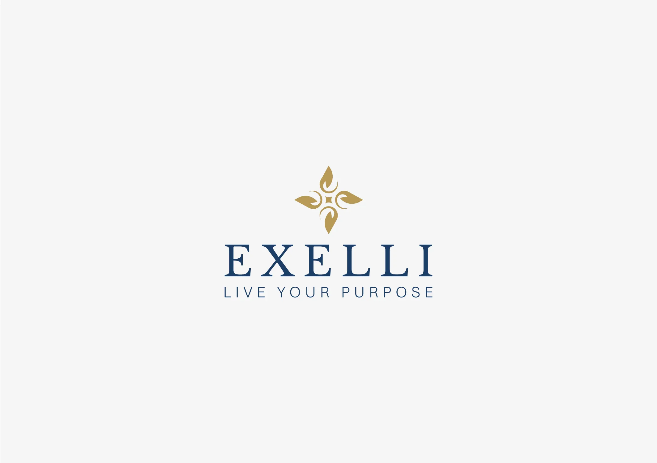 Exelli brand identity 1
